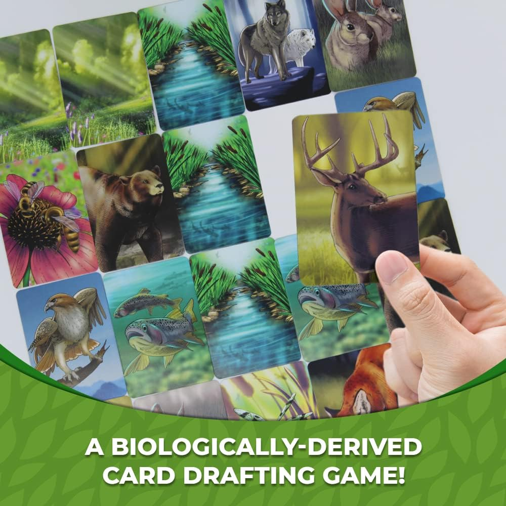 An example of an Ecosystem card grid